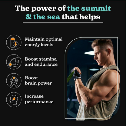 Shilajit Capsules for Adults – Daily Energy & Wellness Support