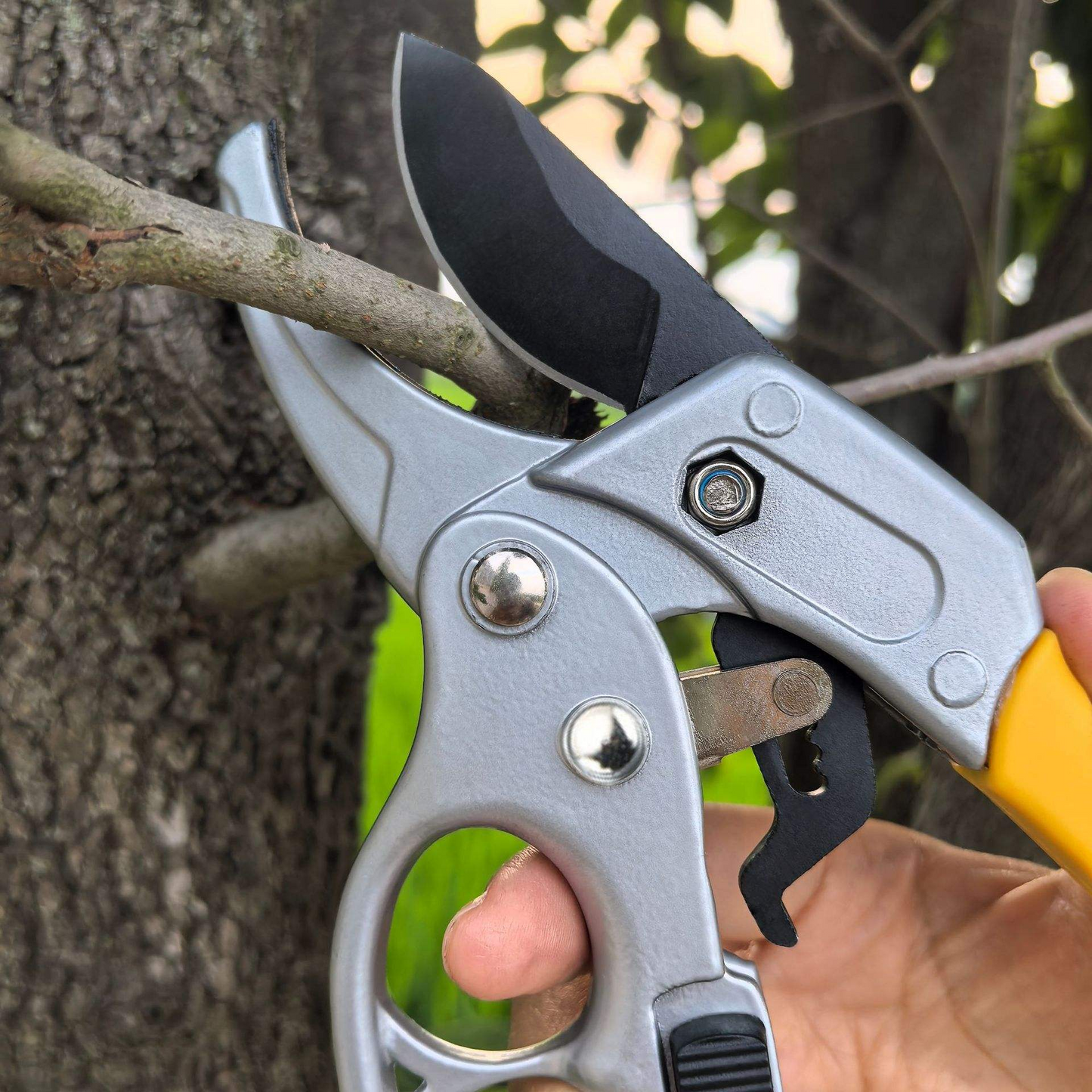 Garden Pruner Shears – Manual Branch & Flower Cutting Tool